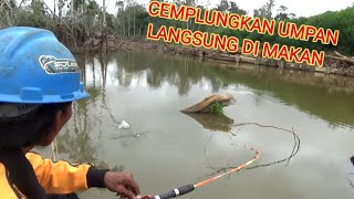 Spot mancingnya gacor tenan 