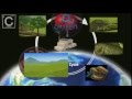 Carbon Cycle and Its Impact