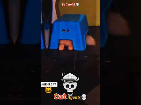 Cat Agents 💀 #cat #catlovers #cats