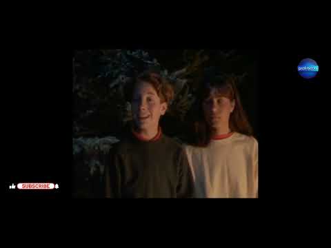 EL_Taxi_ Fantasma {2026} 🚕