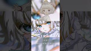 Hello 愛しい人＿＿＿🕊˖ ࣪⊹/ツキヨミ covered by CHINO #valis #歌ってみた #cover