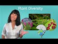 Plant Kingdom Characteristics and Differences