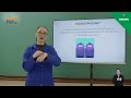Biotecnologia e Células-Tronco