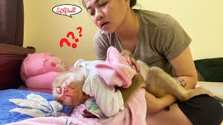 Lyly... wake up Monkey Lyly is sleeping soundly and won't wake up, making her mother anxious.