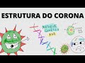 Coronavírus: Estruturas e Funções