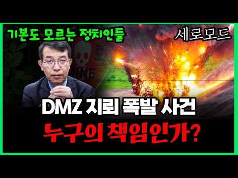 (세로) DMZ 지뢰 폭발 사건, 군사 전문가의 분석