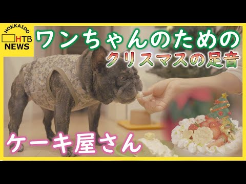 クリスマスの足音　～ワンちゃんのためのケーキ屋さん～ moconoadólce