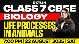 Class 7 CBSE Biology | Life Processes in Animals | Xylem Class 7 CBSE