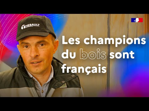 Des habitations en bois de forêts françaises.