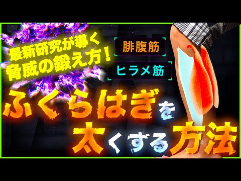 【筋トレ】ふくらはぎトレの新事実！最新研究で分かった衝撃の事実を生かせ！