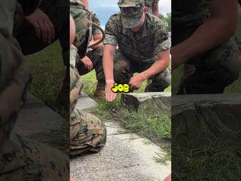 The Strongest Soldier in the World ? #shorts