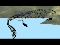 Tetrapod Adaptations and Environmental Changes