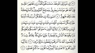 تلاوات مختارة سورة التحريم القارئ ناصر علي الغامدي