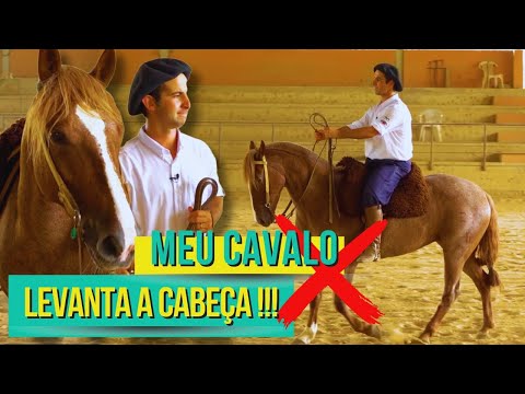 Cavalo tem reação no contato da embocadura, veja como corrigir!