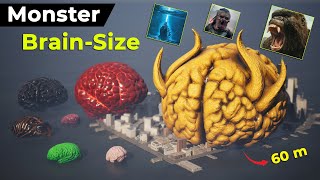 Legendry Monster Brain Size | Giant Monster Brains | Size Comparison