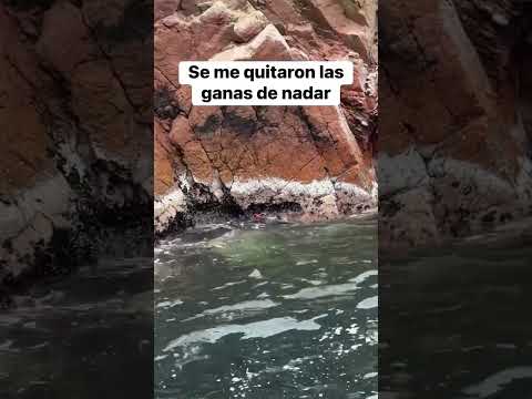 Lo veo y no lo creo😱 #shortvideo #comedy