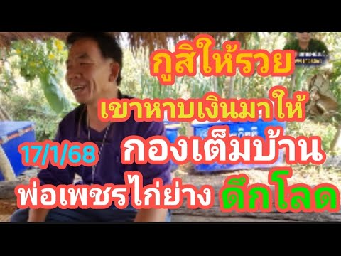 กูสิให้รวย เขาหาบเงินมาให้ กองเต็มบ้าน พ่อเพชรไก่ย่าง ฟัน 3 ตัวดึกโลด