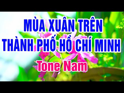 Karaoke Mùa Xuân Trên Thành Phố Hồ Chí Minh Tone Nam | Nhạc Xuân 2025