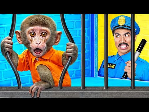 Побег Обезьянки из Тюрьмы для Домашних Животных от Multi DO Smile