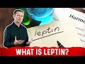 Understanding Leptin and Weight Management