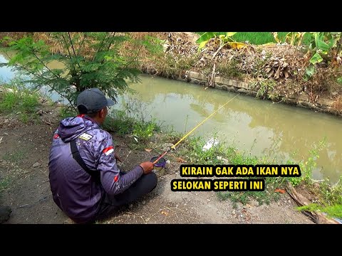 Mancing di selokan dan di sungai pinggir jalan raya