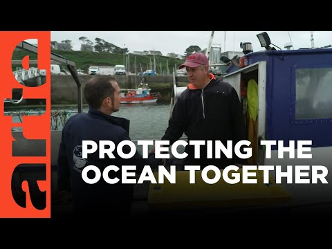 YouTube video thumbnail: Fishermen and Scientists Collaborate in the Iroise Sea 