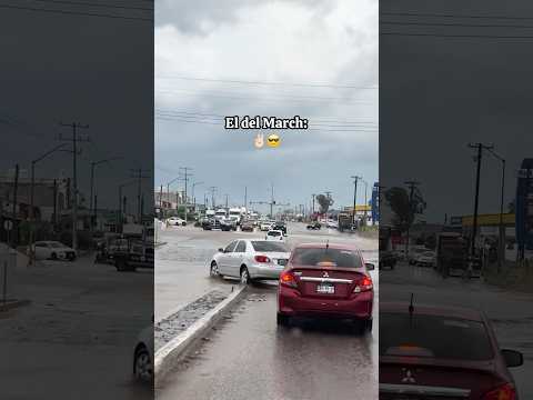 Tacoma VS March, quien gana? #shorts #autos #tijuana #frontera