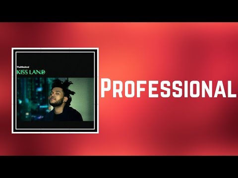 The Weeknd Professional Lyrics Jobs Ecityworks