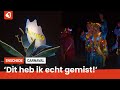 Twekkelerveld trapt carnaval af met drukbezochte verlichte carnavalsoptocht
