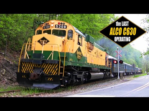 Last Operating ALCO Century 630 - Rare Mileage & Bee Line Service Explained