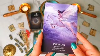 CANCER "12TH AUGUST - NEW MOON ECLIPSE -  A WALK ON THE WILD SIDE!!!" NEW MOON TAROT  