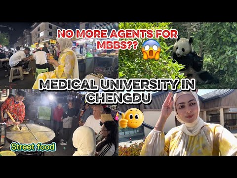 Inside Chengdu’s Medical University: Halal Food Hunt, No-Agent Admission & Panda Park Adventure! 🐼✨