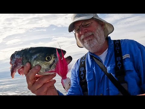 Seal Attack! Epic Jig Fishing Action + Trophy Catch and a Submarine!