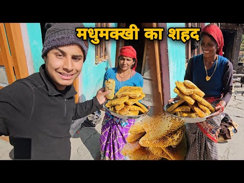 पहाड़ों में कुछ इस तरीके से निकलते हैं मधुमक्खी का शहद | Uttarakhandi honeybee farming | RTK Vlogs