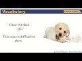 Understanding Video Structure and Sections