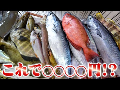 【未利用魚】24種類のお魚が入ったお得すぎるお魚BOXが衝撃的すぎた！！