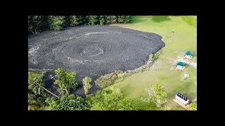 遭遇の確率は10億分の1？！カメラに収められた驚くべき自然現象