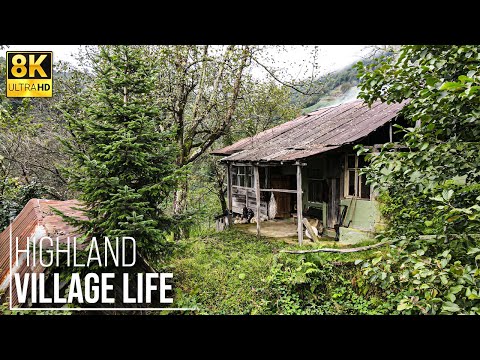 A Life of Happiness Away from Civilization in a Mountain Village - 8K | Mr Wild Nature