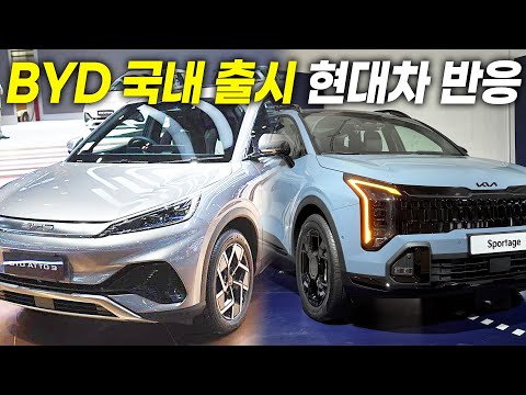 절대 긴장 안 한다더니.. BYD 출시 공식 선언하자 현대차 내부 반응