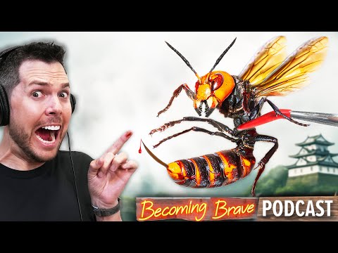 Murder Hornet STING Reaction!