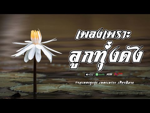 เพลงเพราะ ลูกทุ่งเพลงดัง  // รวมเพลงเก่าๆมาเล่าให้ฟังใหม่ เพราะๆ ดังๆ