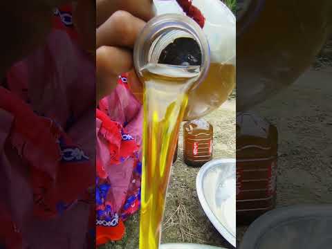 3 মন সূর্যমুখীর বীজ থেকে এক মন তেল পেলাম। ৪০ কেজি। #village #villfoodcooking #cooking #bananafood