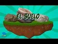 Comprendiendo el Suelo y su Importancia