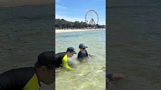 Du lịch #Australia: A beautiful day @Geelong Beach
