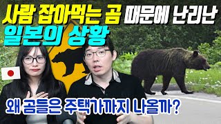 사람 잡아먹는 곰 때문에 난리난 일본의 상황