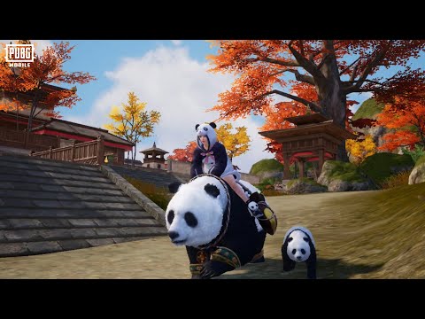 PUBG MOBILE | Panda Buddy