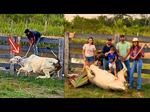 O VIZINHO ABATEU UMA VACA E SURPREENDEU TODO MUNDO COM UM MEGA CHURRASCO PARA A FAMÍLIA 😱