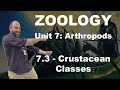 Arthropod Classification and Characteristics