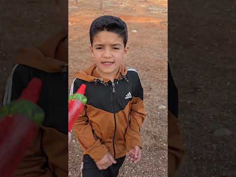 مصطفى صاير دلفين حلو واو