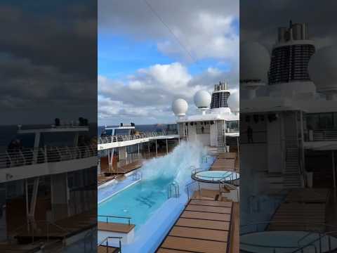 Wusstest du alle Dinge?🛳️ #cruise #kreuzfahrt #cruisily #shortd
